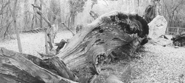 Fábián László könyvbemutató