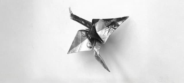 Image-Making Without a Camera