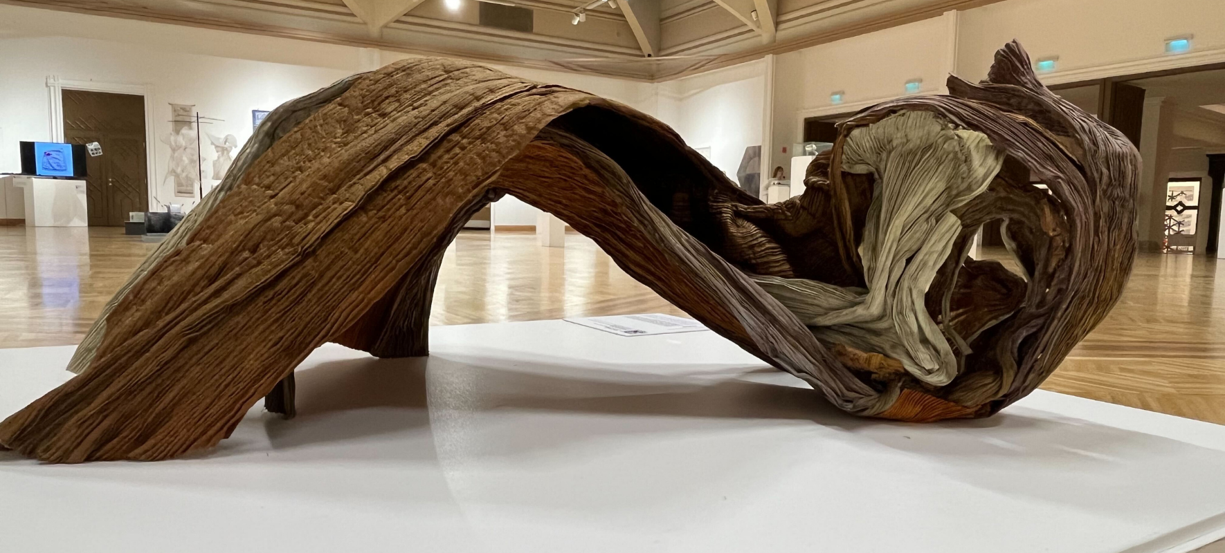 Tárlatvezetés a TŰ-RÉS-HATÁR című kiállításon